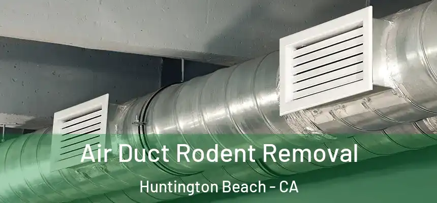  Air Duct Rodent Removal Huntington Beach - CA