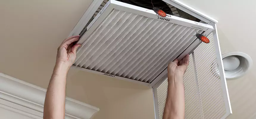 Preventive Cockroach-Proofing for Ducts in Huntington Beach