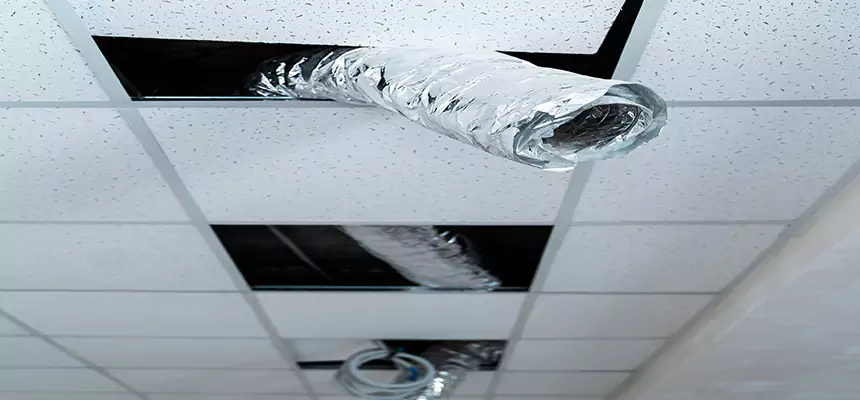 Our Air Duct Pet Hair Removal Services in Huntington Beach, CA