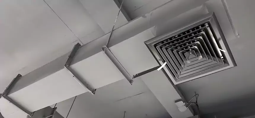 Our Pest Removal From Ducts Services in Huntington Beach, CA