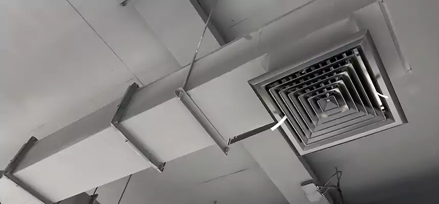 Our Rodent Droppings In Vents Services in Huntington Beach, CA