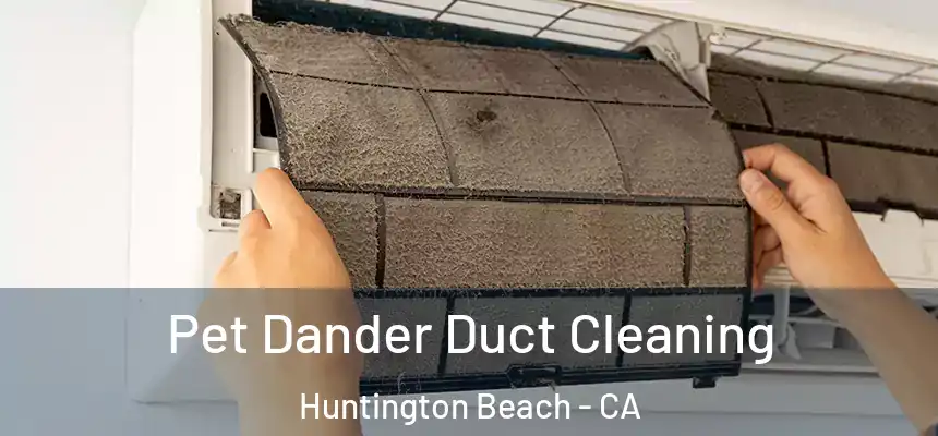 Pet Dander Duct Cleaning Huntington Beach - CA