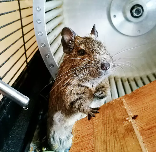 Why Homeowners & Businesses Trust Us Huntington Beach, CA