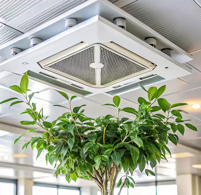 Why Homeowners & Businesses Trust Us in Huntington Beach, CA?