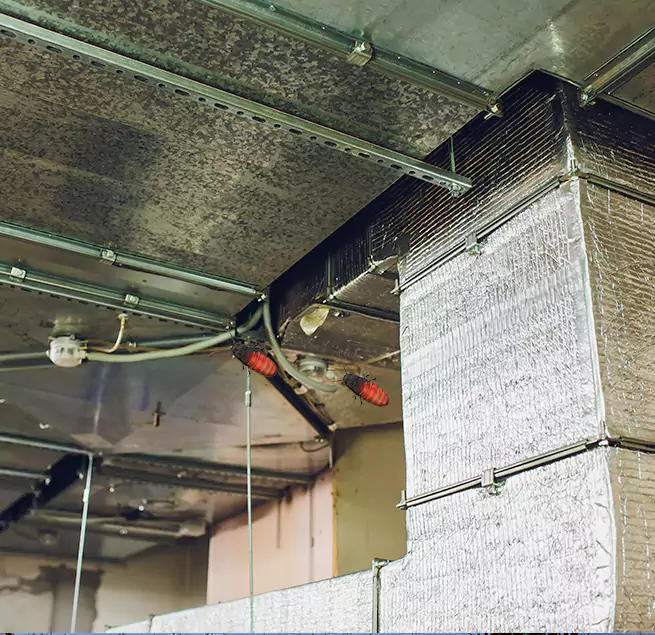 Why Homeowners & Businesses Trust Us Huntington Beach, CA?