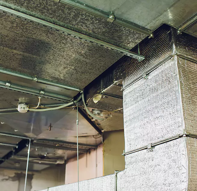 Why Homeowners & Businesses Trust Us in Huntington Beach, CA?